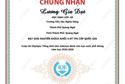 Em Lương Gia Đạt, học sinh lớp 4B, Trường TH Nghĩa Dũng đạt giải Khuyến khích kỳ thi IOE cấp Quốc gia